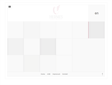 Tablet Screenshot of hermes-software.com